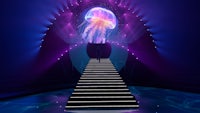 an image of a jellyfish with stairs leading to it