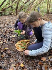 two girls kneeling down in the woods with a tray of leaves