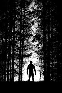 a silhouette of a man standing in the woods