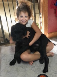 a little girl holding a black labrador puppy