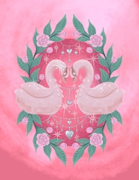 two pink swans on a pink background