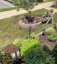 a flower bed with a tree in the middle of it
