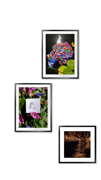 four pictures of flowers and a note on a black background