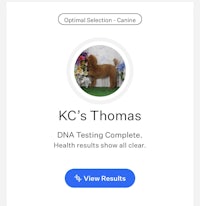 kc's thomas dna testing complete