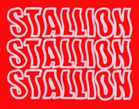 a red shirt with the word stallion on it