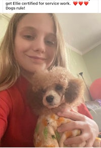 a girl is holding a poodle in her arms