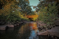 a bridge over a stream in a park
