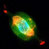 an image of a green and orange nebula