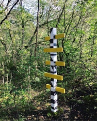 a yellow and black pole in a wooded area