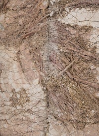 a close up of a crack in the ground