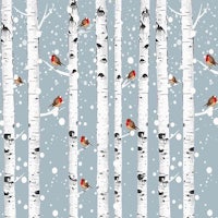 birch trees with birds in the snow