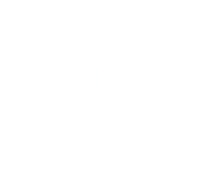 raylyn reality logo on a black background