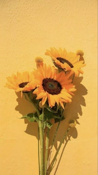 a bunch of sunflowers in front of a yellow wall