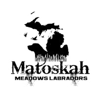 matoshah meadows labradores logo