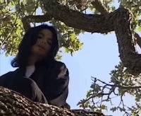 michael jackson in a tree