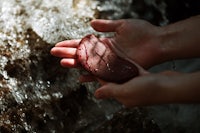a person's hand holding a piece of meat in front of a waterfall
