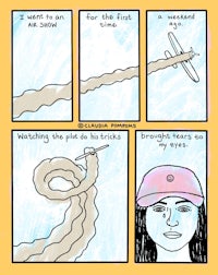 a comic strip about a woman flying an airplane