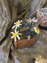 daisies in a crate