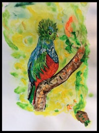 a painting of a colorful bird perched on a branch