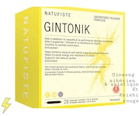 a box of gintonik with a yellow label on it