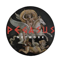 pegasus network logo