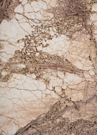 a close up image of a cracked surface