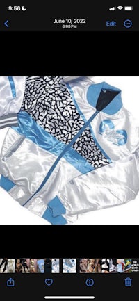 a picture of a jacket with a blue and silver design