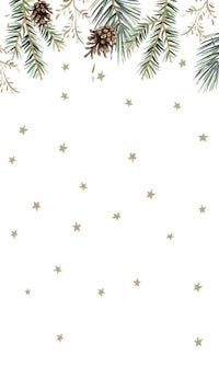 a christmas background with pine cones and stars on a white background