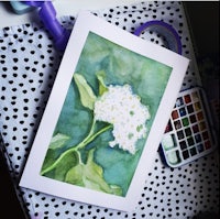 a watercolor painting of a white flower on a table