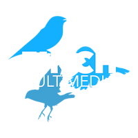 finch multimedia logo