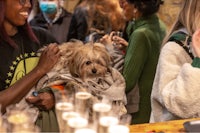 a woman is holding a dog at a party