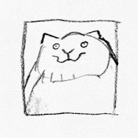 a drawing of a cat in a square frame