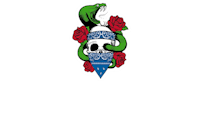 a skull with roses and a snake on a black background