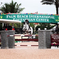 a horse jumps over a barrier at the palm beach international equestrian center