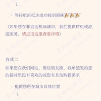 chinese text with chinese characters and chinese characters