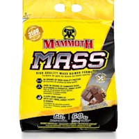 mammoth mass chocolate