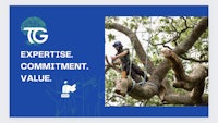 an image of a man climbing a tree with the words expertise commitment value