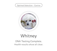 whitney dna testing complete health results show clear