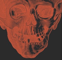an orange skull on a black background