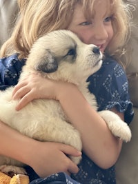 a little girl hugging a white puppy on a couch