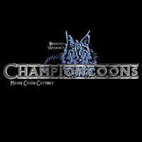 the logo for champion koons