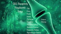 a green background with the words c2 receptor regulation syndromes