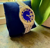 a blue and gold watch sitting on a cushion next to a plant