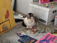 a cat sits on the floor next to a box of paints