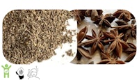 star anise and star anise seeds