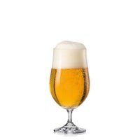 a glass of beer on a white background