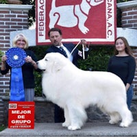 a group of people standing next to a large white dog