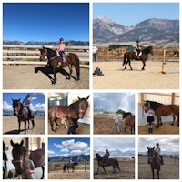 a collage of pictures of horses and people riding them