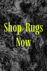 shop rugs now