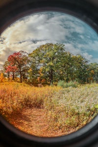 a circular view of a field with trees